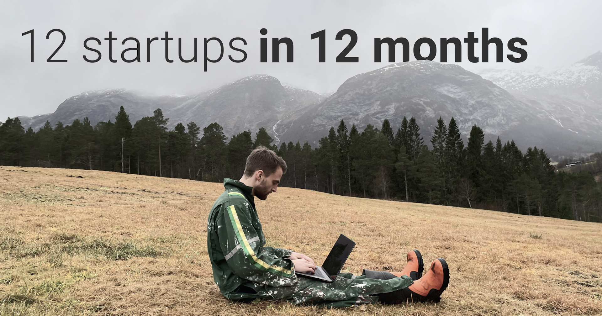 12 startups in 12 months
